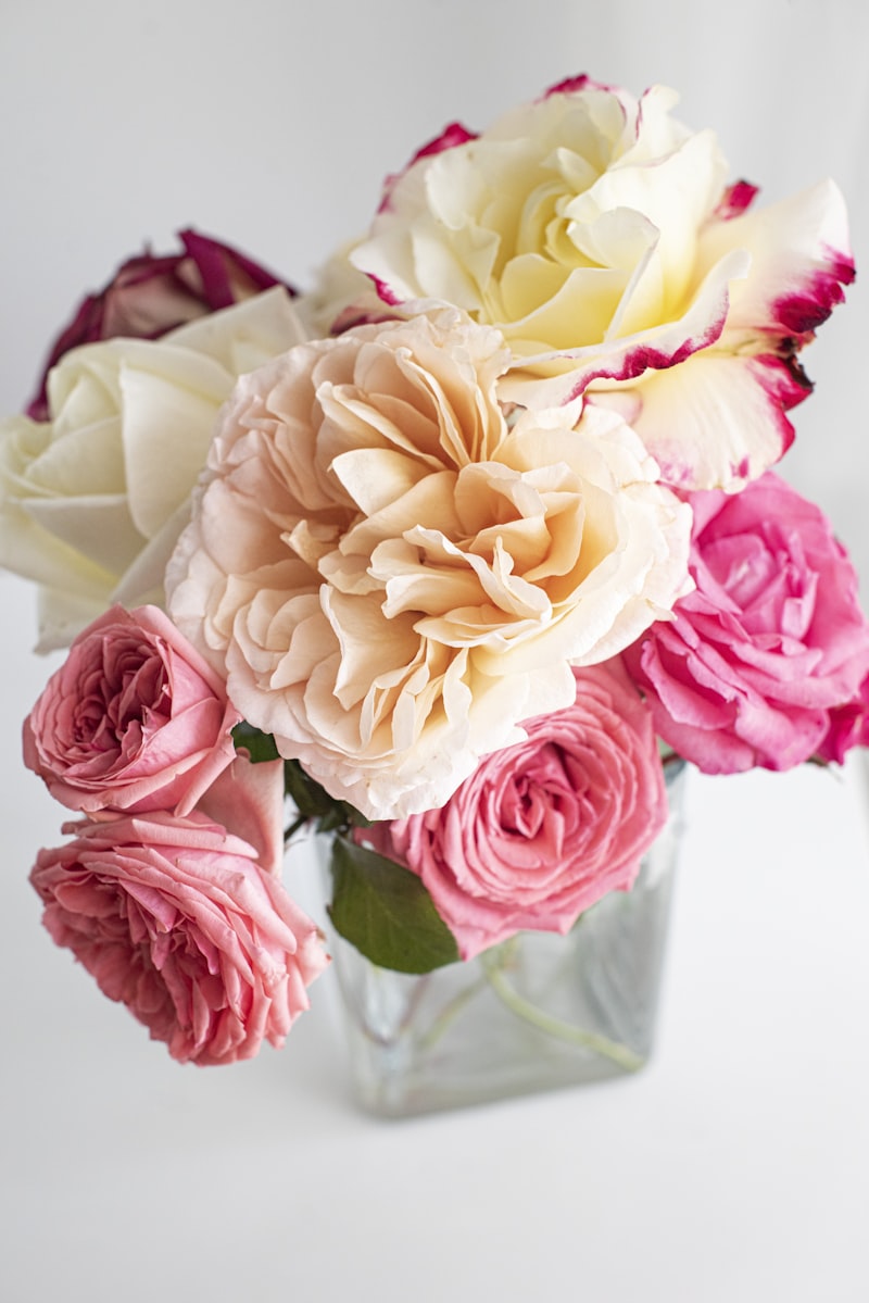 Rosa Amarela Avulsa